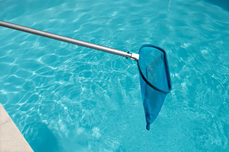 swimming pool cleaning tips