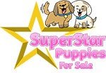 SuperStar Puppies | puppies for sale Maryland