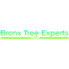 Bronx Tree Pro-Tree Removal, Cutting & Trimming Service
