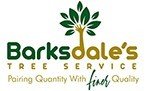 Barksdale's Tree Service helps you with storm damage near Plano TX