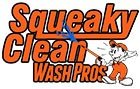 Squeaky Clean Wash Pros delivers soft wash roof cleaning in Flower Mound TX