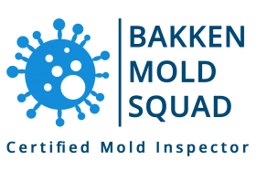 Minot Mold Squad - Water Fire Damage