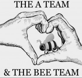 The A Team & The Bee Team, bee removal near me Miami FL