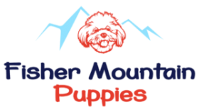Fisher Mountain Puppies