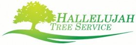 Hallelujah Tree Service Provides Stump Grinding Services in Highland Park, CA