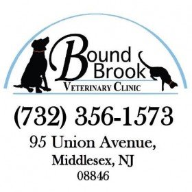 Bound Brook Veterinary Clinic