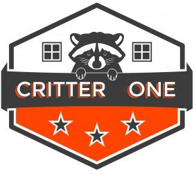 Critter One Offers the Best Wildlife Removal Service in Fair Oaks Ranch, TX