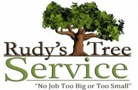 Rudy's Tree Service