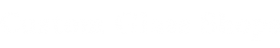 Custom Glass Shops Offers Frameless Shower Doors Services in Vienna, VA