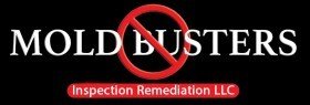Mold Busters Inspection Does Mold Remediation Service in Davis Creek, WV