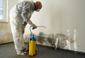 Tacoma Mold Removal Co.