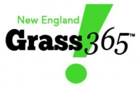 Grass!365