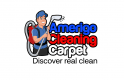 Carpet Cleaning Ashburn