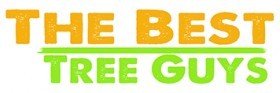 The Best Tree Guys is an Affordable Tree Removal Company in Alberhill, CA