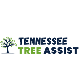 TENNESSEE Tree Assist