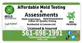 Affordable Mold Testing and Assessments