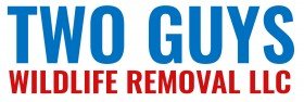Two Guys Wildlife Removal Services Are Open in Chesapeake, VA