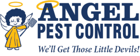 Angel Pest Control