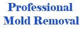 Professional Mold Removal Best Asbestos Removal Service Camp Hill PA