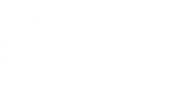 Deck Plus