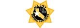 All City Patrol Services