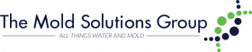 The Mold Solutions Group