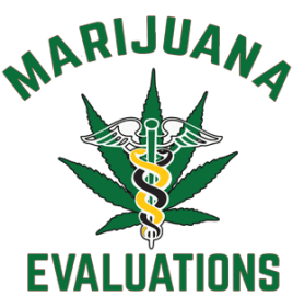 MJ Evaluations