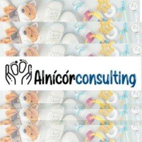 Alnicor consulting