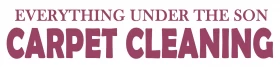 Premium Carpet Cleaning Lake Mary FL by Everything Under The Son