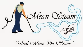 Mean Steam Delivers Professional Grade Carpet Cleaning in Fairburn, GA