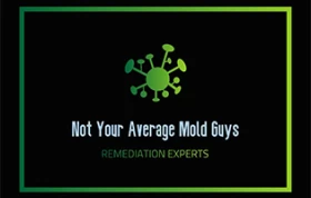 Not Your Average Mold Guys