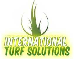 International Turf Solutions’ Affordable Synthetic Grass in Marietta, GA