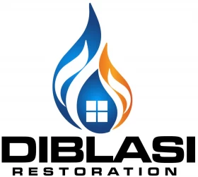 DiBlasi Restoration’s Mold Remediation Contractors in Castro Valley, CA