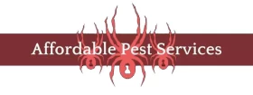 Affordable Pest Control Services in Castle Rock, CO