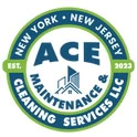 Ace Maintenance and Cleaning Services (2)