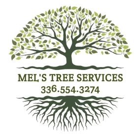 Mel Tree Service’s Top Yard Junk Removal Services in Winston-Salem, NC