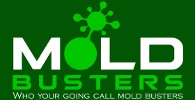 Mold Busters’ Effective Residential Mold Removal Services in Huber Heights, OH.