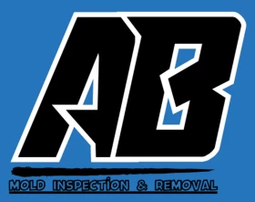 A&B Mold Inspection & Removal