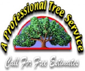 Professional Tree Service Lexington KY