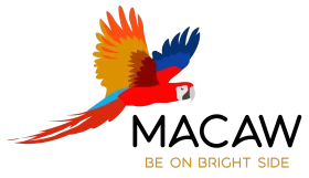 Macaw Christmas Lights Installation Is Trustworthy In Charlotte, NC