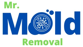 Mr. Mold Removal & Restoration