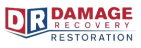 Damage Recovery Restoration