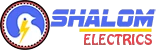 Shalom Electrics Offers Electrical Panel Replacement in Zephyrhills FL