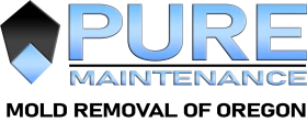 Pure Maintenance Mold Removal