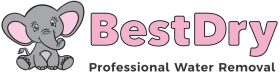 BestDry Provides Trusted Water Damage Restoration Services In Bellevue, WA