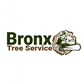 Eddie’s Bronx Tree Removal