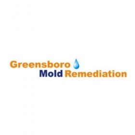 Greensboro Mold Remediation Inc