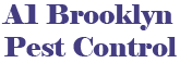 A1 Brooklyn Pest Control, pest control services Brooklyn NY
