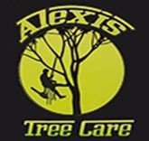 Alexis Tree Care, stump grinding Los Lunas NM