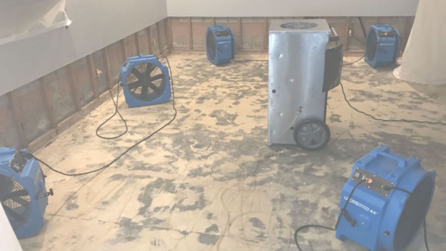 Matchless Services at Low Water Damage Restoration Cost